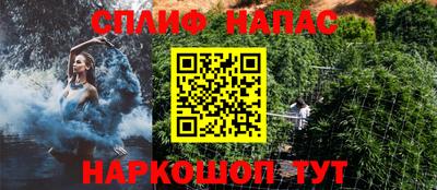 крисы Заводоуковск