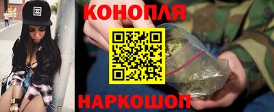 крисы Заводоуковск