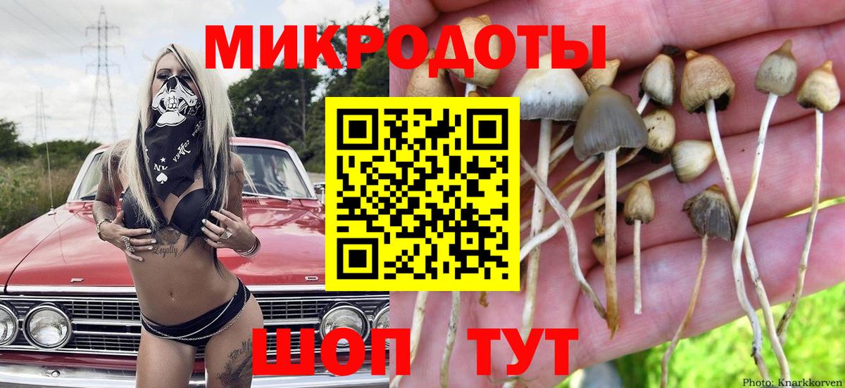 Псилоцибиновые грибы мицелий Лосино-Петровский