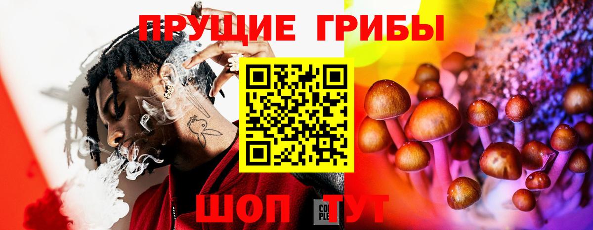 дарнет шоп  Галлюциногенные грибы прущие грибы  Вход с VPN  Лосино-Петровский 